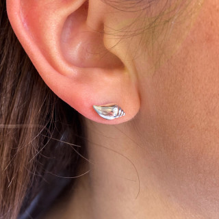 Clous d'oreilles Argent coquillage