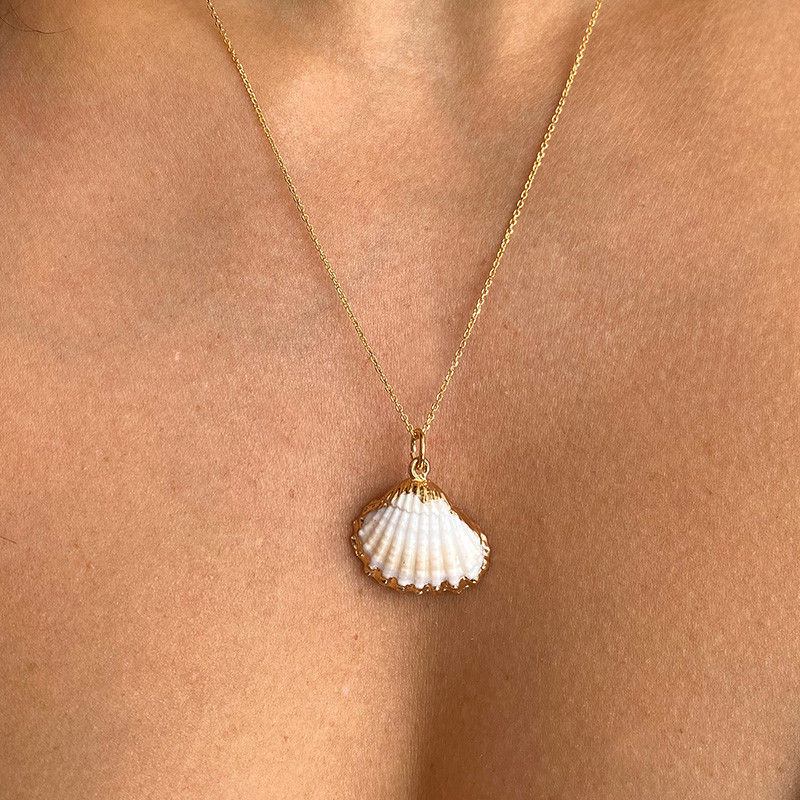 Charm's Doré Sea shell