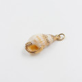 Charm's Doré coquillage