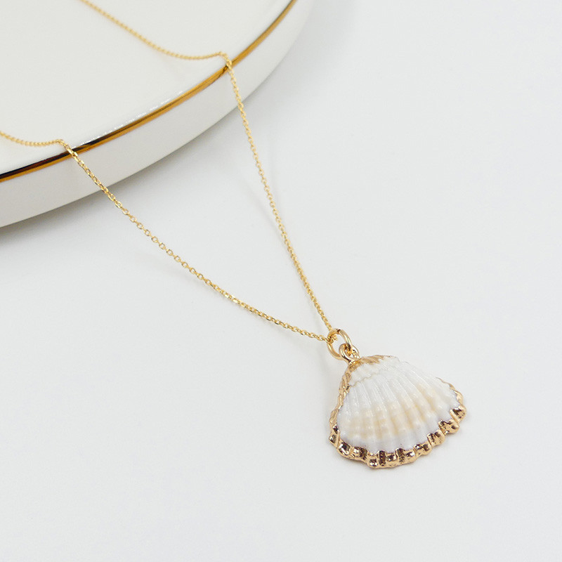 Charm's Doré Sea shell