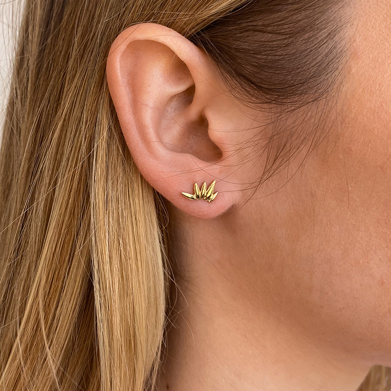 Clous d'oreilles plaqué or sunshine