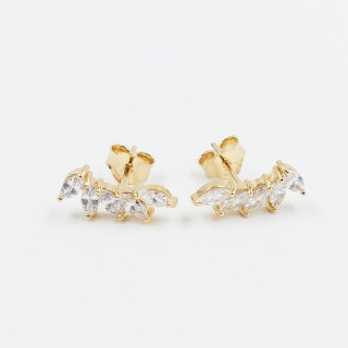 Clous d'oreilles Dorés 5 pétales strass