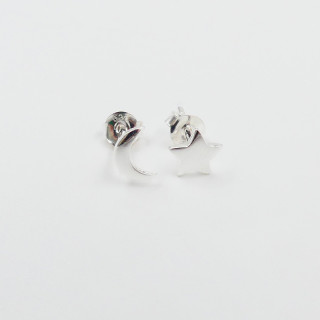 Clous argent étoile et lune