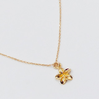 Collier fleur tropicale plaqué or